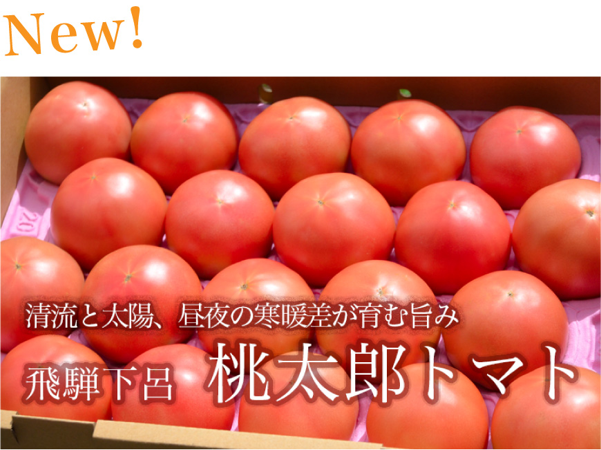 清流と太陽、昼夜の寒暖差が育む旨み　飛騨下呂　桃太郎トマト