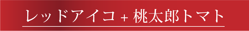 レッドアイコ＋桃太郎トマト